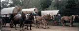 wagons