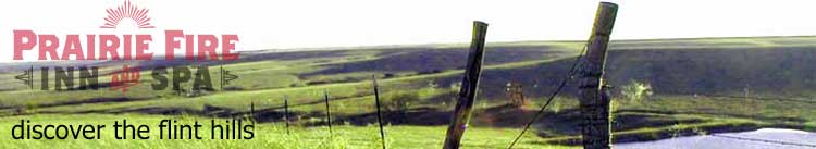 hills logo